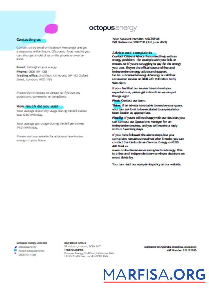 Realistic Octopus Energy utility business bill SCR page 3 download for verification